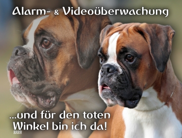 Hundewarnschild Boxer #8