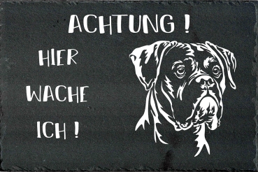 Schieferplatte Boxer