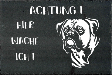 Schieferplatte Boxer