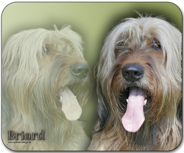 Mousepad Briard #1