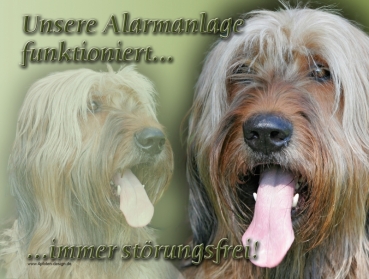 Hundewarnschild Briard (Berger de Brie) #2