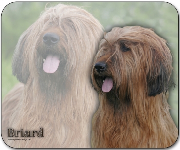 Mousepad Briard #2