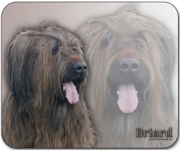 Mousepad Briard #3