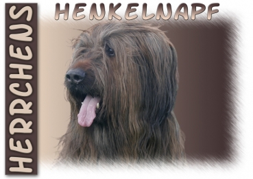 Fototasse Briard Herrchen/Frauchen