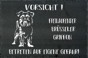 Schieferplatte Brüsseler Griffon