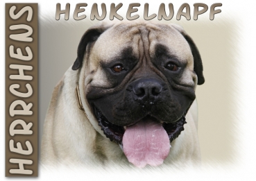 Fototasse Bullmastiff Herrchen/Frauchen