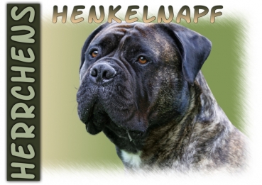 Fototasse Bullmastiff Herrchen/Frauchen