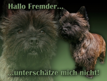 Hundewarnschild Cairn Terrier #5