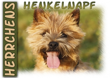 Fototasse Cairn Terrier Herrchen/Frauchen