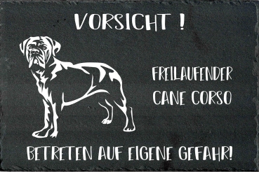 Schieferplatte Cane Corso