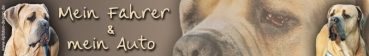 Autoaufkleber Cane Corso