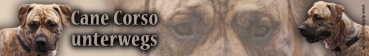 Autoaufkleber Cane Corso