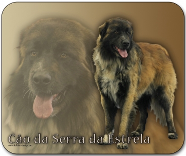 Mousepad Serra da Estrela Berghund #1