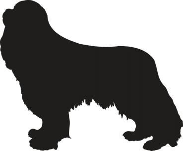 Autoaufkleber Cavalier King Charles Spaniel stehend Silhouette