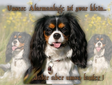 Hundewarnschild Cavalier King Charles Spaniel #2