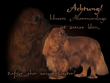 Hundewarnschild Cavalier King Charles Spaniel #3