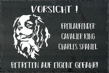 Schieferplatte Cavalier King Charles Spaniel