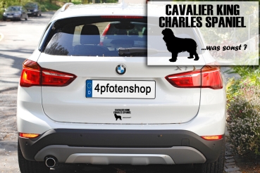 Preview: Aufkleber "Cavalier King Charles Spaniel ...was sonst?"
