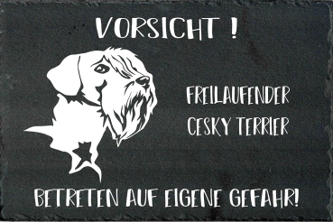 Schieferplatte Cesky Terrier