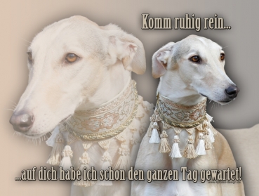 Hundewarnschild Chart Polski (Polnischer Windhund) #5