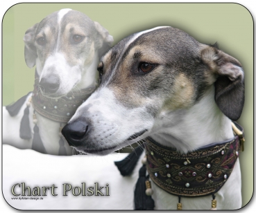 Mousepad Chart Polski (Polnischer Windhund) #1