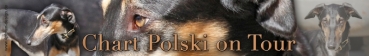 Aufkleber Chart Polski (Polnischer Windhund) #3
