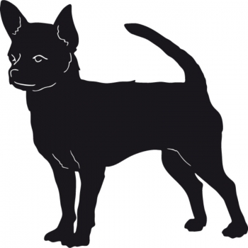 Chihuahua stehend Silhouette