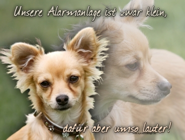 Hundewarnschild Chihuahua #4