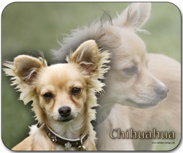 Mousepad Chihuahua #4