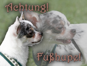 Hundewarnschild Chihuahua #6