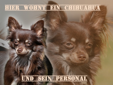 Hundewarnschild Chihuahua #8