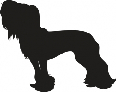 Chinese Crested Dog stehend Silhouette