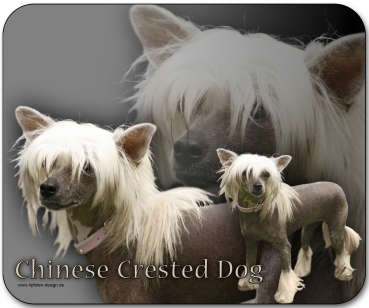 Mousepad Chinesischer Schophund (Chinese Crested Dog) #1