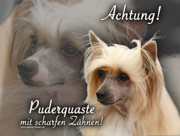 Hundewarnschild Chinese Crested (Powderpuff) #2