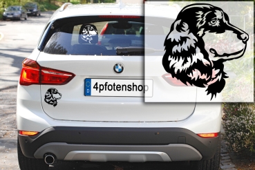 Autoaufkleber "Englischer Cocker Spaniel" Kopf