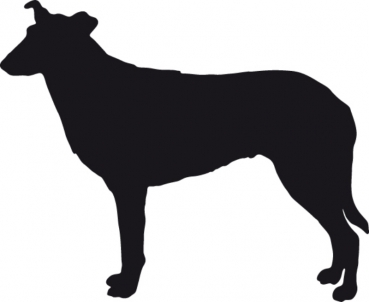 Autoaufkleber Collie (Kurzhaar) stehend Silhouette