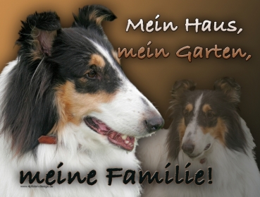 Hundewarnschild Collie (Schottischer Schäferhund) #2