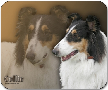 Mousepad Collie #2