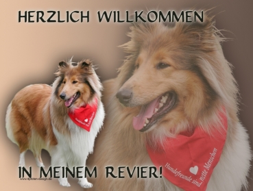 Hundewarnschild Collie (Schottischer Schäferhund) #3