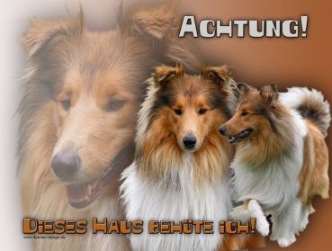 Hundewarnschild Collie (Schottischer Schäferhund) #8