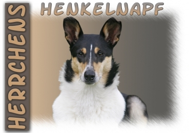 Fototasse Collie Herrchen/Frauchen