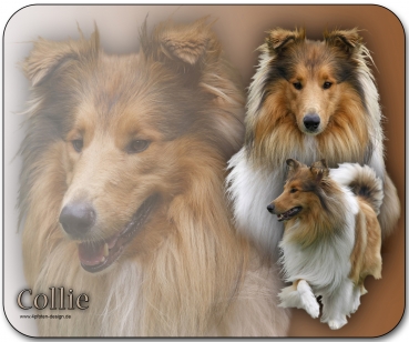 Mousepad Collie #8