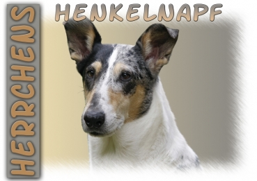 Fototasse Collie Herrchen/Frauchen