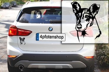 Autoaufkleber "Collie (Kurzhaar)" Kopf