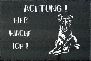 Schieferplatte Collie (Kurzhaar)