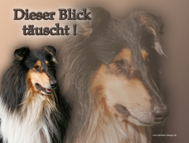 Hundewarnschild Collie (Schottischer Schäferhund) #1