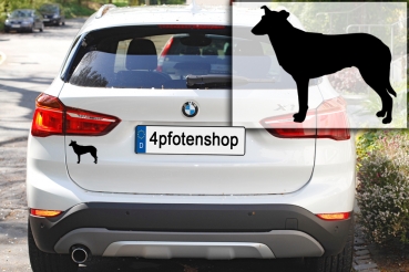 Autoaufkleber Collie (Kurzhaar) stehend Silhouette