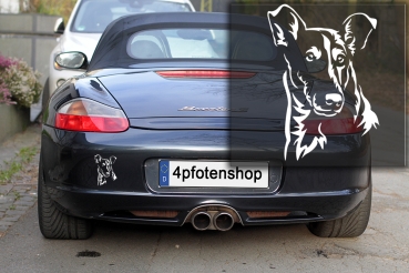 Autoaufkleber "Collie (Kurzhaar)" Kontur