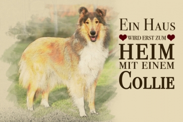 Nostalgieschild - Hundeschild im Retrostil Motiv: Collie (Schottischer Schäferhund) #1