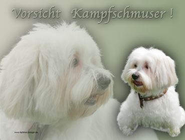 Hundewarnschild Coton de Tulear #1